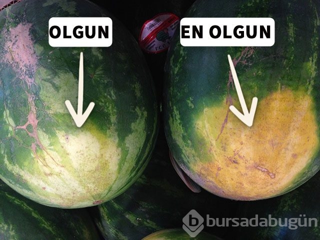Karpuz alırken neye dikkat etmelisiniz?