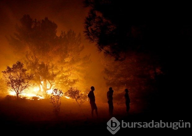 İzmir'de korkutan yangın