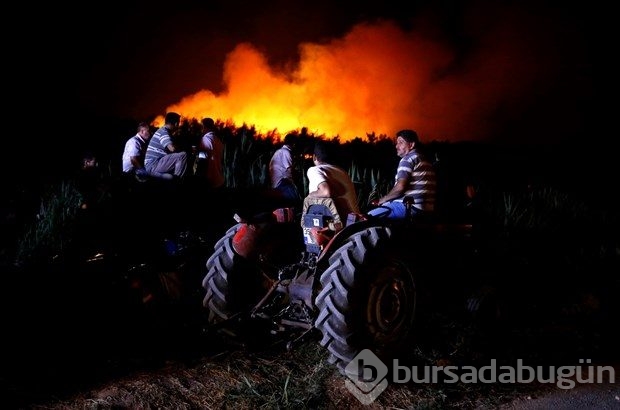 İzmir'de korkutan yangın