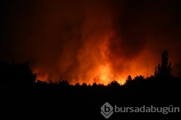 İzmir'de korkutan yangın