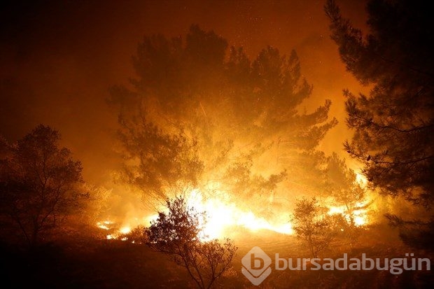 İzmir'de korkutan yangın