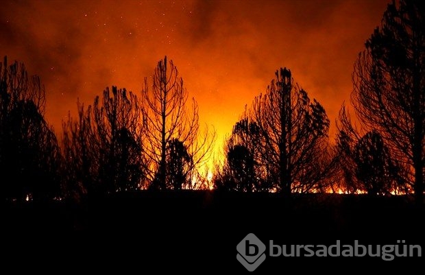 İzmir'de korkutan yangın