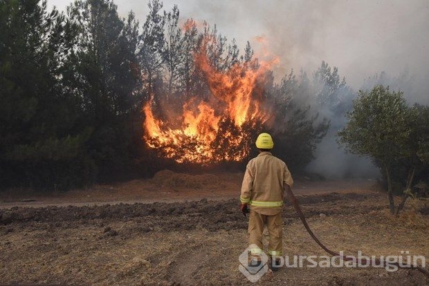 İzmir'de korkutan yangın
