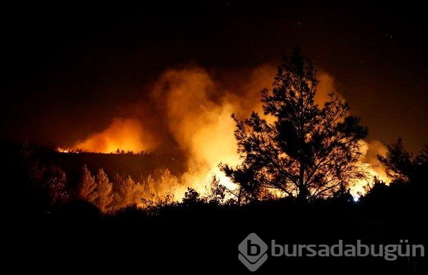 İzmir'de korkutan yangın