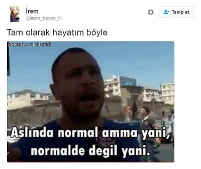 'Hayatım tam olarak böyle:' paylaşımları sizi güldürecek