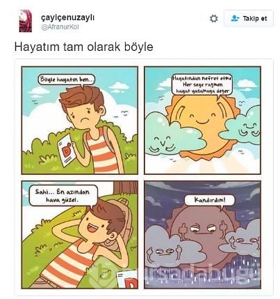 'Hayatım tam olarak böyle:' paylaşımları sizi güldürecek