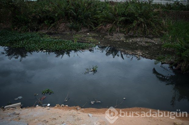 Rio'da korkutucu kirlilik