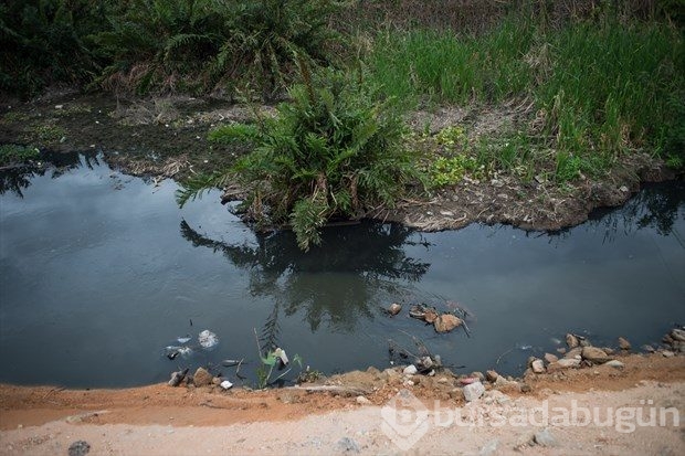 Rio'da korkutucu kirlilik