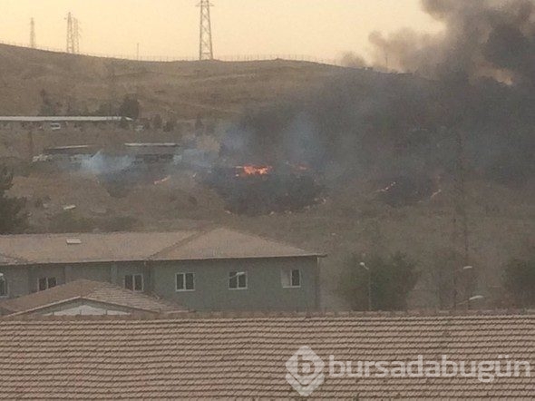 Cizre'de Emniyet Müdürlüğü'ne bombalı saldırı
