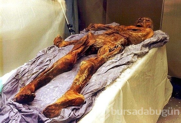 Bilim dünyasını şaşkına çevirdi!