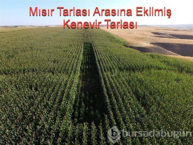 Diyarbakır'da uyuşturucu operasyonu