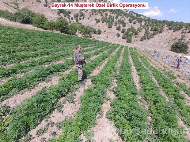 Lice'de terörün finans kaynağı uyuşturucuya büyük darbe