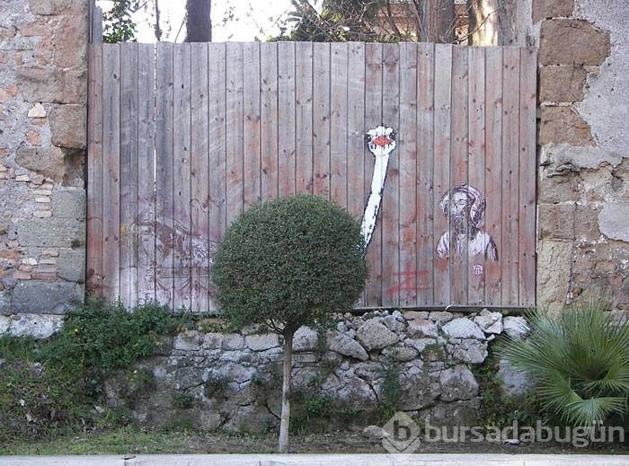 Sokak sanatının en yaratıcı halleri