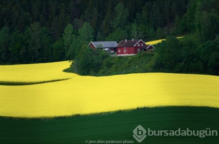Burada photoshop yok