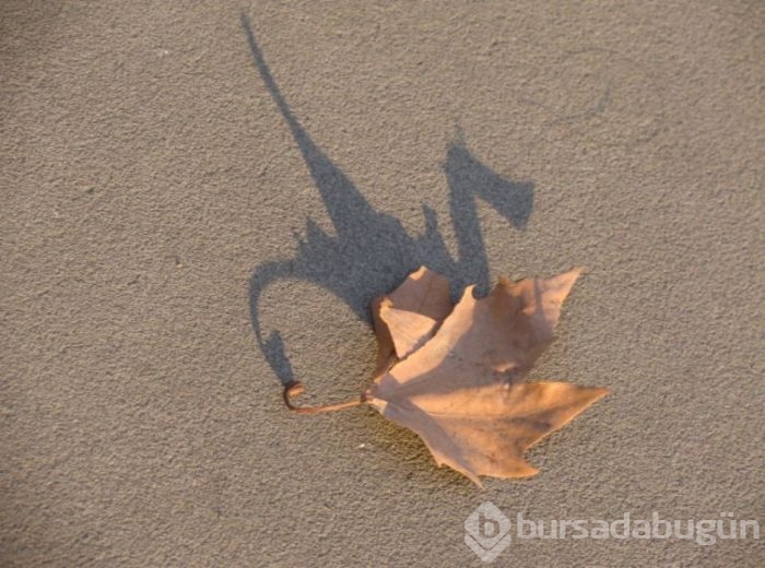 Burada photoshop yok