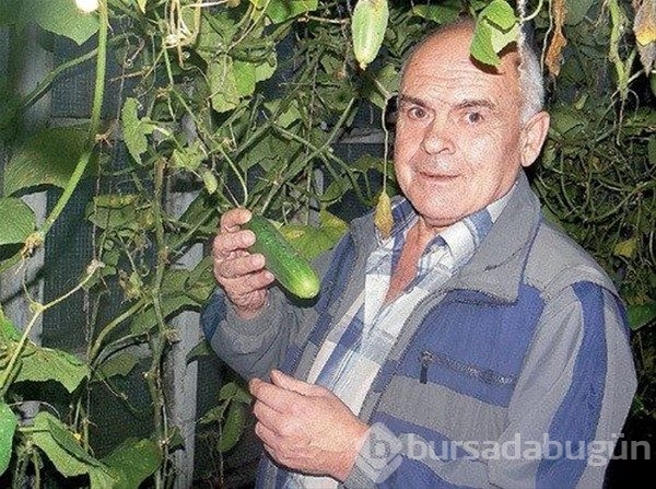 Çocuk yıldızlara ne oldu?