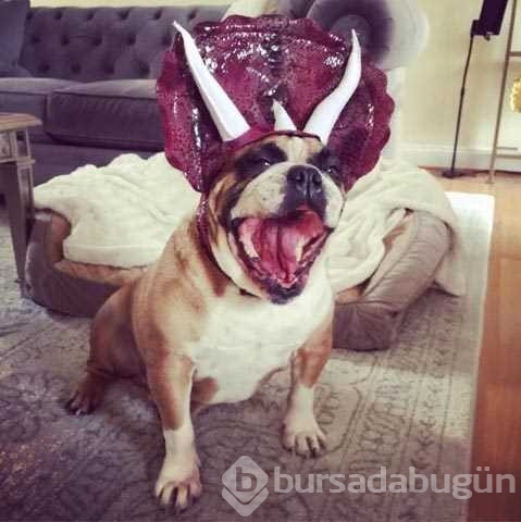 Günün en çok paylaşılan fotoğrafları