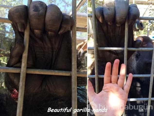 Günün en çok paylaşılan fotoğrafları