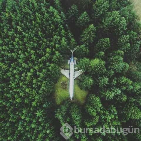 Günün en çok paylaşılan fotoğrafları