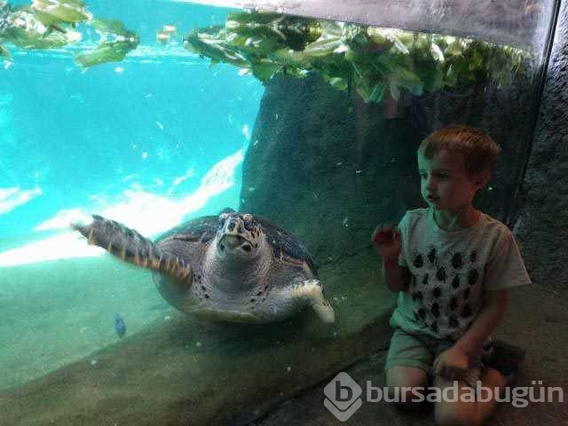 Günün en çok paylaşılan fotoğrafları