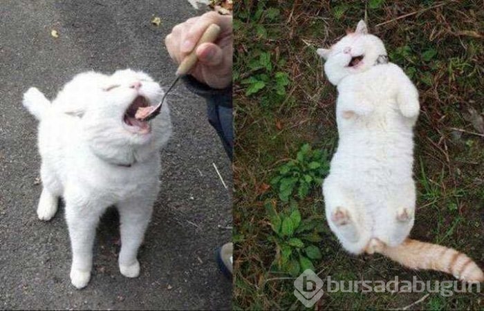 Günün en çok paylaşılan fotoğrafları
