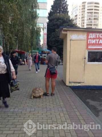Günün en çok paylaşılan fotoğrafları