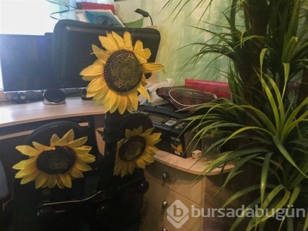 Böyle ev gördünüz mü?