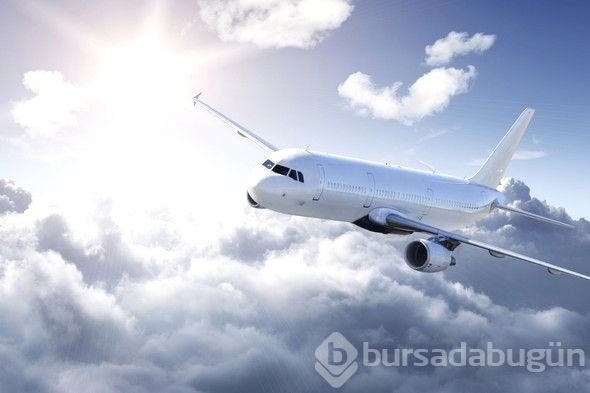 Cevabı en çok merak edilen sorular