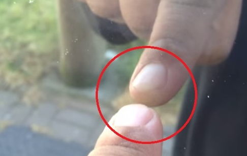 Bunları biliyor musunuz?