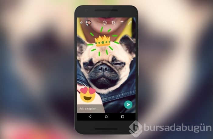 WhatsApp'a Snapchat özelliği geldi