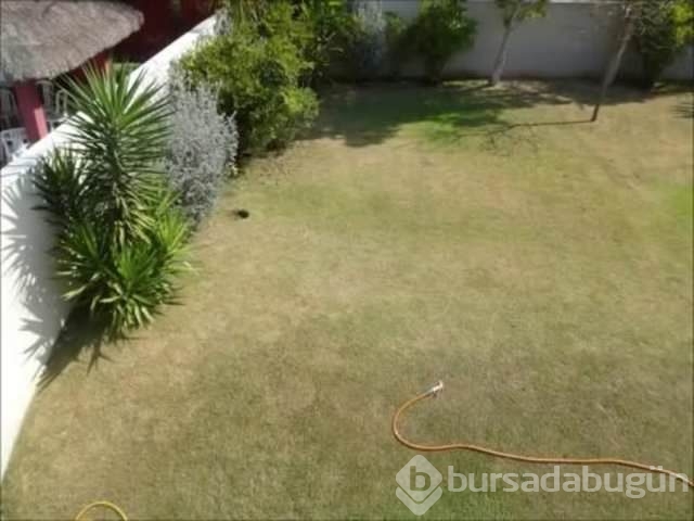 Aklına öyle bir fikir geldi ki