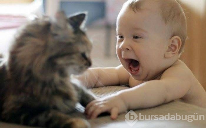 Çocuklar ve hayvanların mükemmel dost olduklarını kanıtlayan fotoğraflar