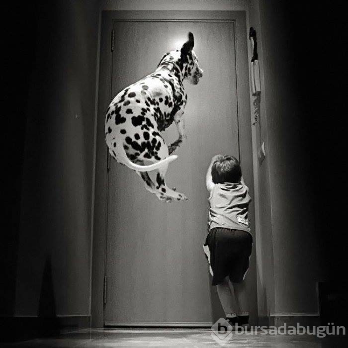 Çocuklar ve hayvanların mükemmel dost olduklarını kanıtlayan fotoğraflar