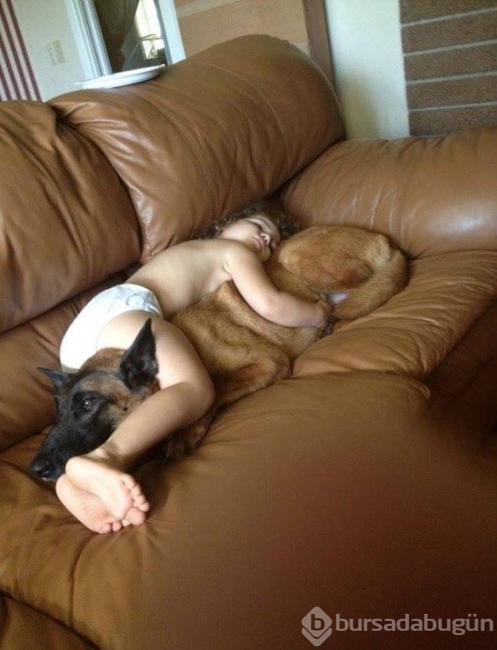 Çocuklar ve hayvanların mükemmel dost olduklarını kanıtlayan fotoğraflar