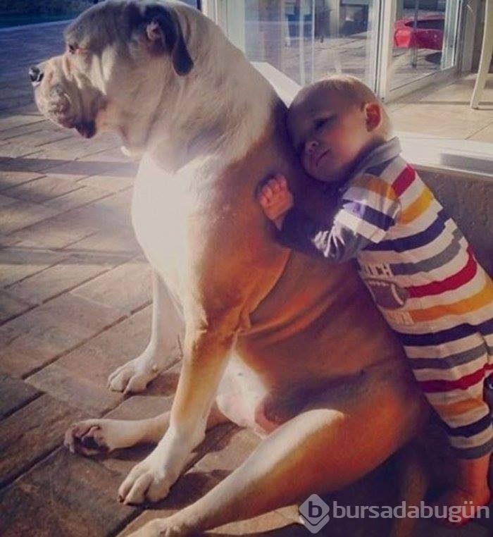 Çocuklar ve hayvanların mükemmel dost olduklarını kanıtlayan fotoğraflar