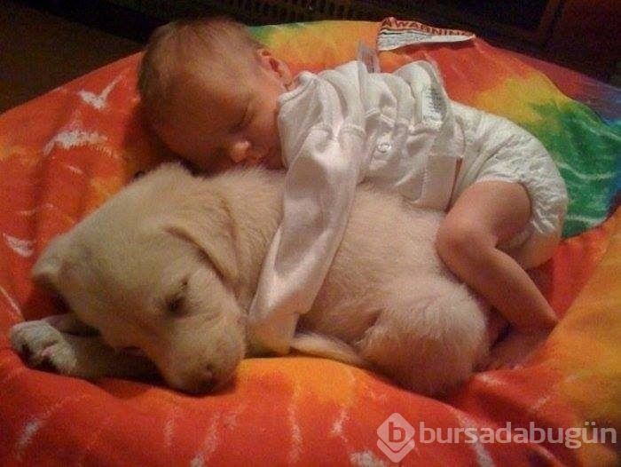 Çocuklar ve hayvanların mükemmel dost olduklarını kanıtlayan fotoğraflar