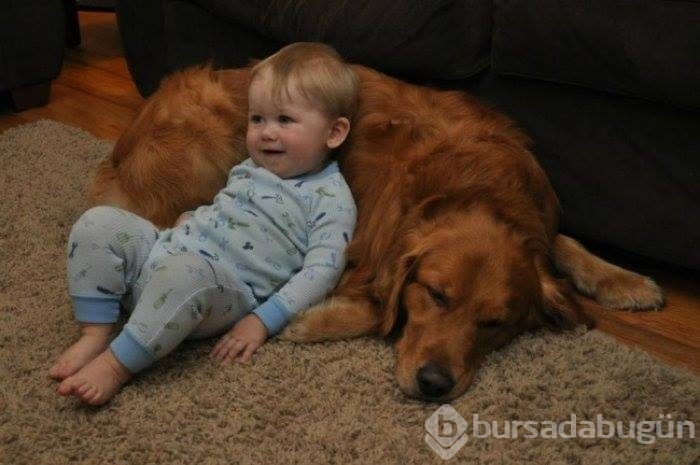 Çocuklar ve hayvanların mükemmel dost olduklarını kanıtlayan fotoğraflar