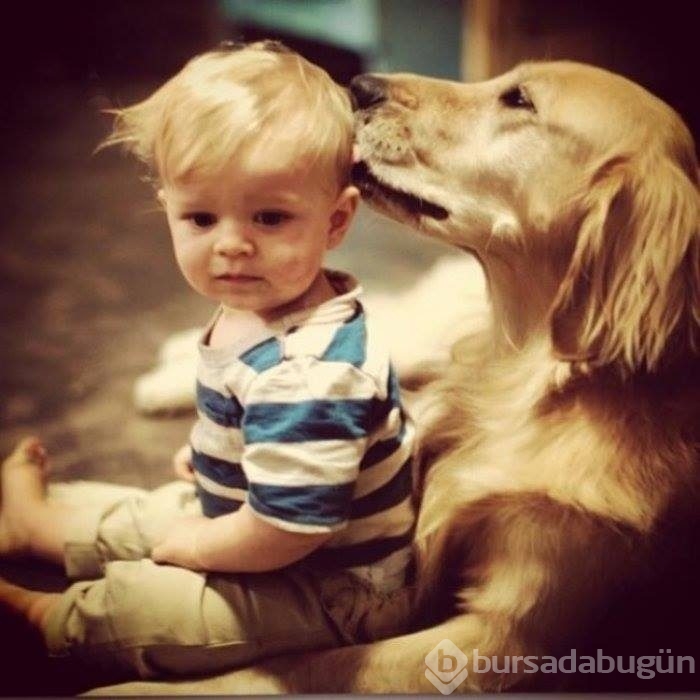 Çocuklar ve hayvanların mükemmel dost olduklarını kanıtlayan fotoğraflar