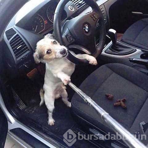 Günün en çok paylaşılan fotoğrafları