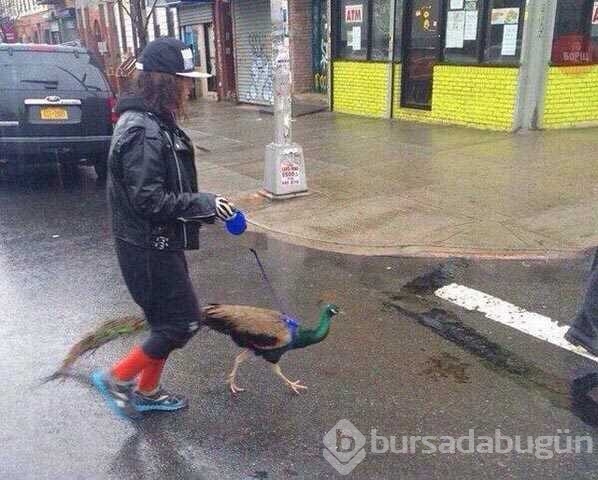 Günün en çok paylaşılan fotoğrafları