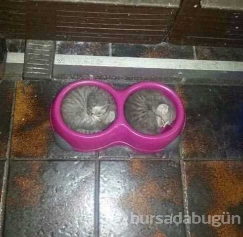 Günün en çok paylaşılan fotoğrafları