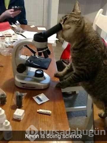 Günün en çok paylaşılan fotoğrafları