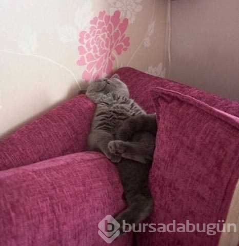 Günün en çok paylaşılan fotoğrafları
