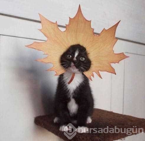 Günün en çok paylaşılan fotoğrafları