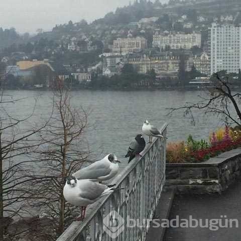 Günün en çok paylaşılan fotoğrafları
