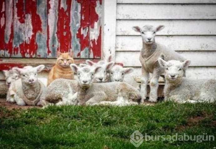 Günün en çok paylaşılan fotoğrafları