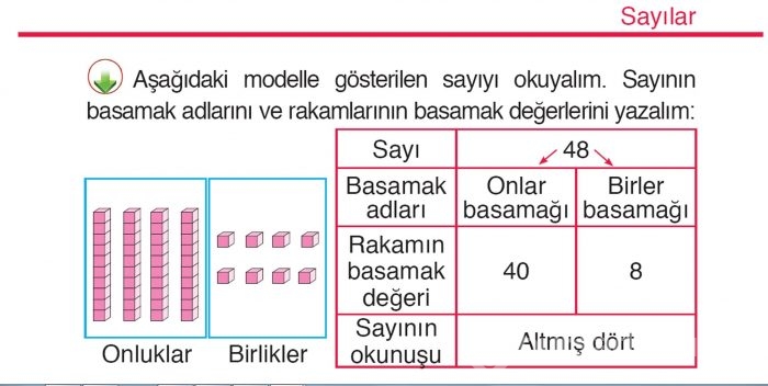 Matematik kitabına göre 48'in okunuşu 'altmışdört'