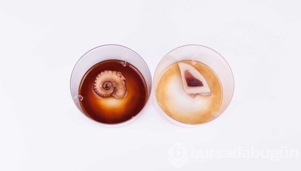 San Sebastian Uluslarası Gastronomi Kongresi'nde şefler buluşması