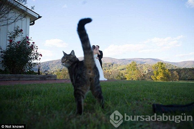Bu düğün fotoğraflarını albümünüze koymak istemezsiniz