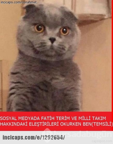 Milli takım İzlanda maçını televizyondan seyreder gibi seyredince sosyal medya